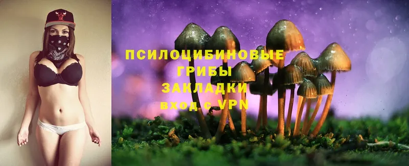 Псилоцибиновые грибы Psilocybine cubensis  Углегорск 